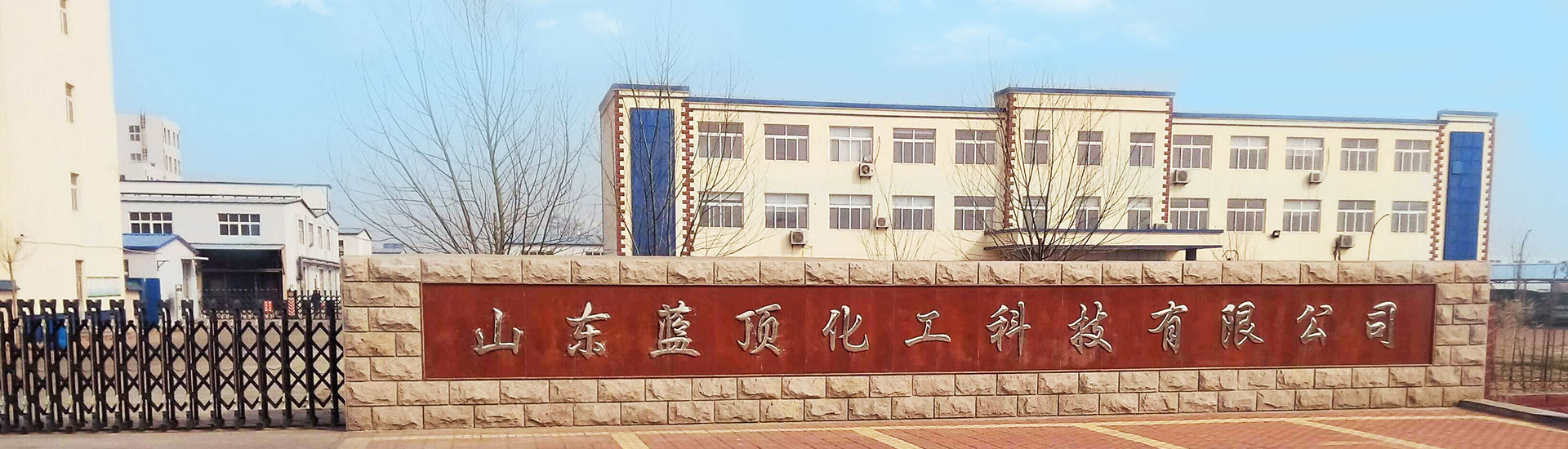 山东蓝顶化工科技股份有限公司